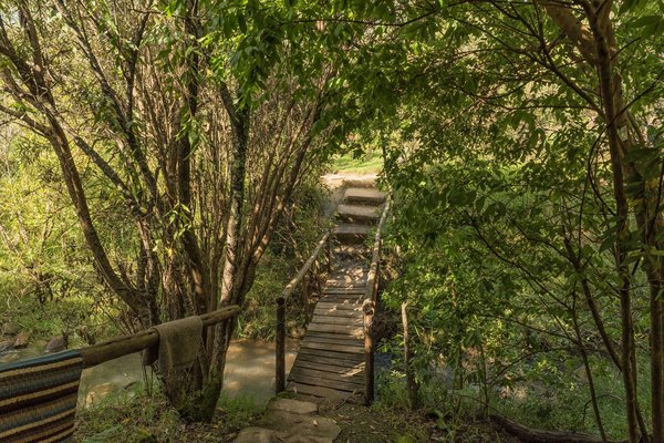 Rhino Lodge de Ngorongoro : une merveille au coeur de la nature tanzanienne